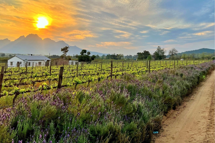 0 Bedroom Property for Sale in Franschhoek Rural Western Cape